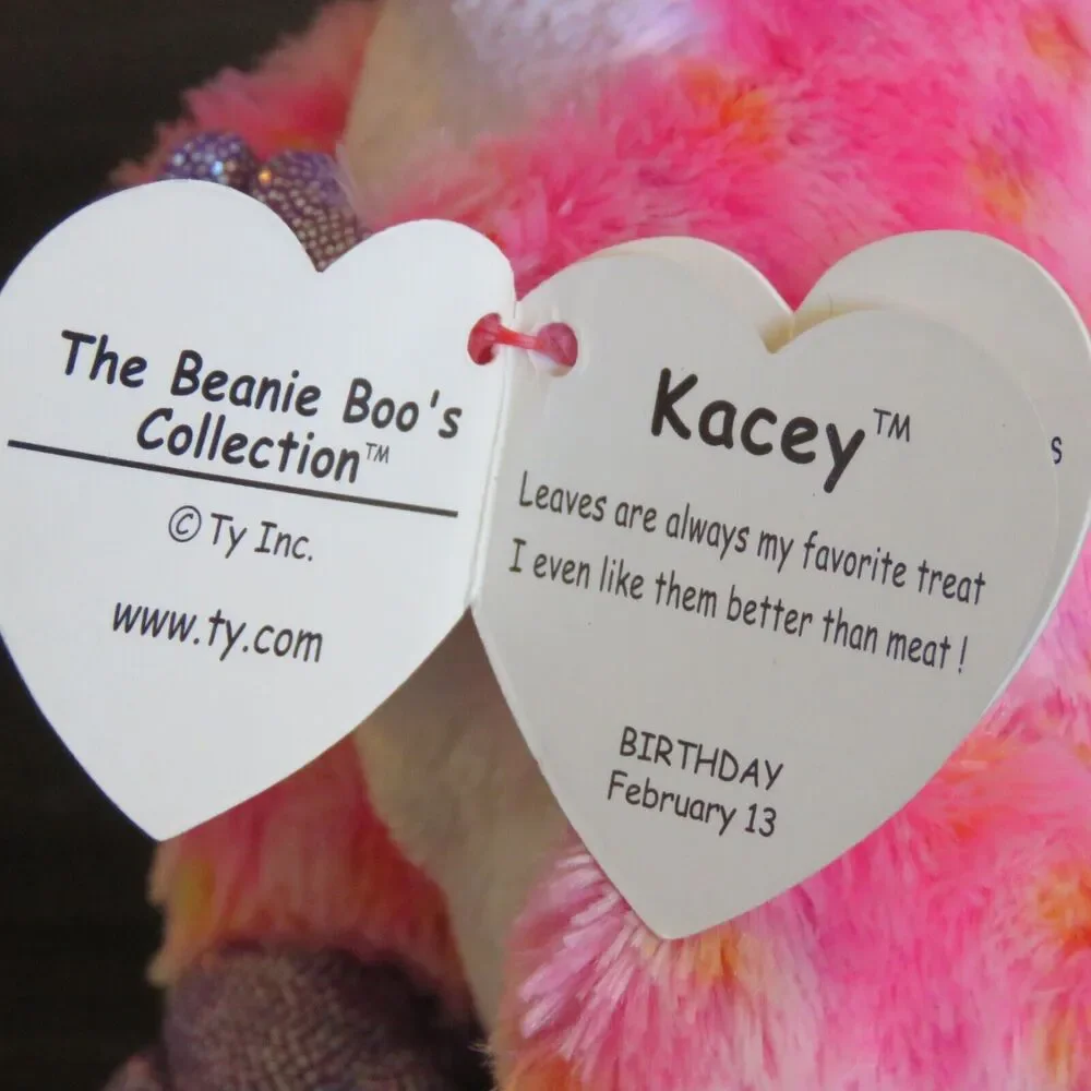 TY Beanie Boos Kacey Koala Bear 6